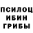 Псилоцибиновые грибы GOLDEN TEACHER markovery