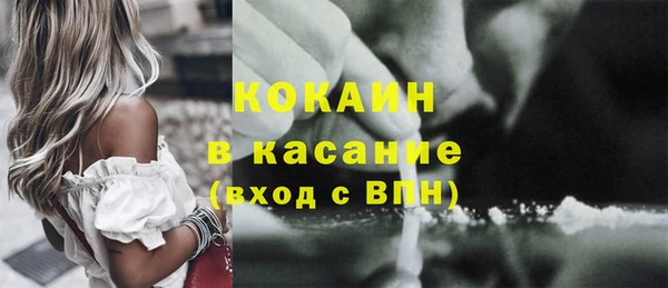 стафф Арсеньев