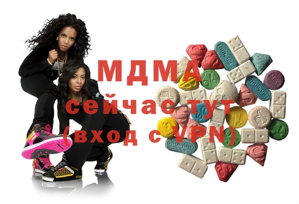 МДПВ Каменка