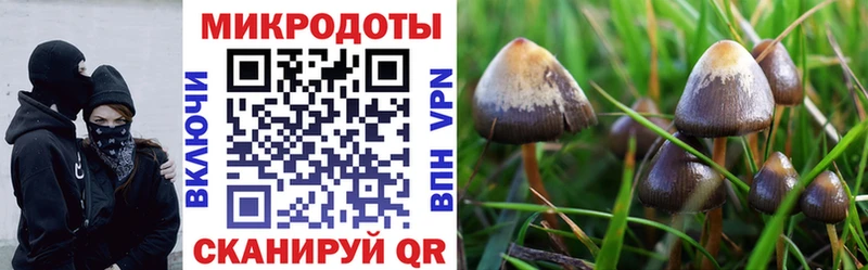магазин  наркотиков  Горнозаводск  Галлюциногенные грибы GOLDEN TEACHER 